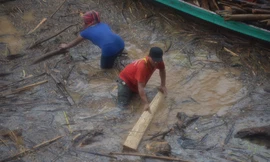 Người dân Điện Biên ngâm mình dưới nước lũ vớt gỗ