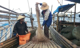 Những người phụ nữ đi biển ở xã Hoằng Trường, huyện Hoằng Hóa (Thanh Hóa). Ảnh: Hoàng Lam.