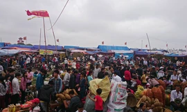 Chưa họp, chợ Viềng đã chật kín người