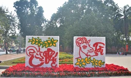 [ẢNH] Đường phố Hà thành rực rỡ đón Tết