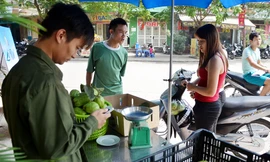 Lệ Rơi bán ổi ở Hà Nội sau những ngày rơi lệ ở showbiz