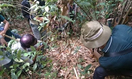 [VIDEO] Băng rừng, lội suối truy tìm con dao giết 4 người