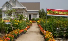 Một nhà hoa đoạt giải nhất.