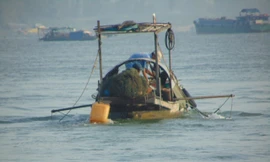Hoạt động của các ghe cào điện gây hại đến nguồn lợi thủy sản.