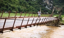 Thót tim nhìn dân vùng lũ liều mình đi trên cầu sắp đổ 