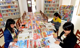 Muôn màu báo tết.