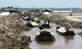 Hợp tác xã Doanh Điền bán tháo muối chạy mưa vào ngày 15/4.