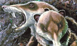 Phát hiện hóa thạch động vật có vú 220 triệu năm