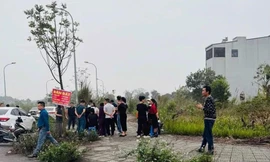 Thực hư giá đất ‘sốt nóng’ theo thông tin các tỉnh sáp nhập