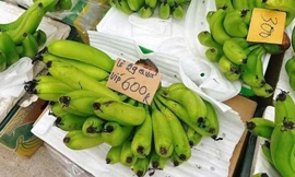 Chợ 'hét giá' hơn nửa triệu/nải chuối, nhiều người đổ vào siêu thị tìm mua
