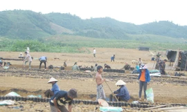 Nông dân xã Thanh Đức (Thanh Chương) mong được thu hồi đất để trở thành công nhân cao su