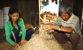 Người dân vùng động đất mong Tết bình yên