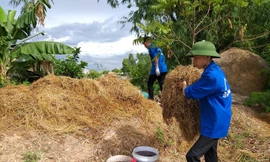 Vũ Trung Kiên và đồng đội tiến hành ủ rơm rạ, biến chúng thành sản phẩm hữu ích.