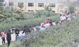 Tuổi trẻ Thủ đô đồng loạt ra quân Chủ nhật xanh