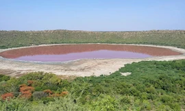 Nước hồ Lonar bỗng chuyển màu đỏ au.