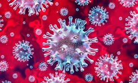 Mỹ mới phát hiện 2 ca chết vì virus SARS-CoV-2 tại bang California sớm hơn 3 tuần so với ca đầu tiên được xác định chết ở Washington.