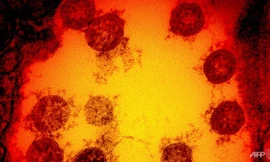 Biển thể mới của SARS-CoV-2 phát triển nhanh bất thường.