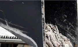 Hình ảnh đàn chồn ở Đan Mạch bị tiêu hủy sau khi có đợt bùng phát dịch COVID-19 tại trang trại chồn.