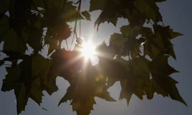 Các quốc gia Bắc Âu thiếu ánh nắng mặt trời là những quốc gia có nguy cơ cao nhất.