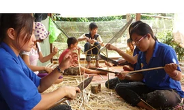 'Ước mơ xanh, Trà chanh'