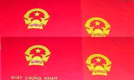 Hà Nội thành lập đoàn kiểm tra tiến độ cấp 'sổ đỏ'