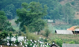 Bản Dõn, chập chờn ký ức