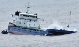 Nhiều tàu vận tải lớn bị bão số 12 đánh chìm tại Bình Đinh (Ảnh: Zing.vn)