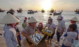 Ngư dân 4 tỉnh miền Trung bị sự cố môi trường sẽ được hỗ trợ để đóng 400 tàu cá đánh bắt xa bờ