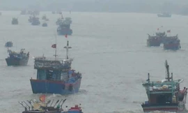Gần 4.700 tàu cá đang trong vùng nguy hiểm bão số 10