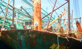 Nhiều tàu cá vỏ thép đóng theo Nghị định 67 của ngư dân Bình Định mới đi vào sử dụng đã hư hỏng nặng