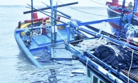 Hàng chục tàu vận tải, tàu cá bị bão 12 đánh chìm tại các tỉnh Nam Trung bộ (Ảnh: Zing.vn)