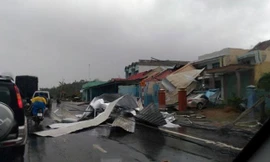 Bão số 12 đang gây thiệt hại lớn tại các tỉnh Khánh Hòa, Phú Yên, Bình Định