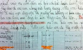 Uẩn khúc trong vụ bé gái tố cha đánh chết mẹ