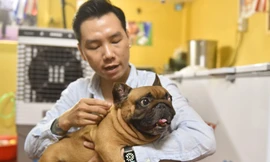Thú chơi cún cưng 'hái ra tiền' của chàng trai 9x Hà thành