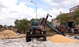 Máy tách hạt tại Đồng Nai