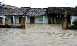 Lũ chia cắt QL 1A, nhấn chìm hàng nghìn hộ dân