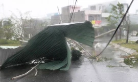 Bão dữ càn quét Đà Nẵng, đường phố tan hoang