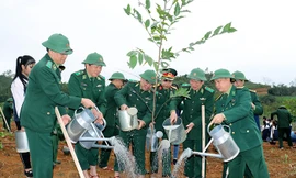 Thiếu tướng Phùng Quốc Tuấn, Thiếu tướng Lê Như Đức và các đại biểu Trồng cây tại đồi Trồn, xã Vân Hòa