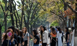 Giới trẻ Hà thành rộn ràng tạo dáng với sắc đỏ bằng lăng