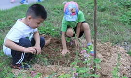 Nhiều gia đình nghệ sỹ đồng hành vì mục tiêu trồng 10.000 cây xanh