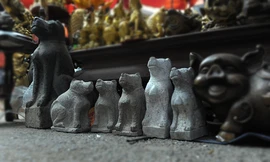 Cún đồng, cún đá lên ngôi chợ Viềng Hà Nội