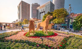 Đường Hoa Nguyễn Huệ với những công nghệ mới