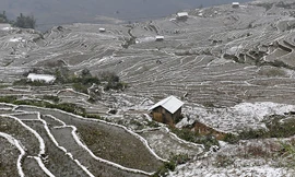 Mãn nhãn ruộng bậc... tuyết ở Y Tý