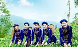 Thí sinh iMiss Thăng Long rạng rỡ sắc áo dân tộc bên đồi chè