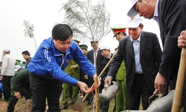 Các đại biểu trồng cây phi lao gây rừng phòng hộ