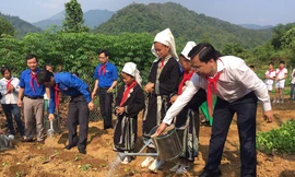 Bí thư T.Ư Đoàn Nguyễn Anh Tuấn cùng các đại biểu, học sinh chăm sóc "Vườn rau cho em"