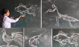 Hút mắt tranh vẽ con vật bằng phấn của thầy giáo 8X