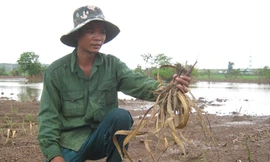 Thiệt hại nặng vì thủy điện Sêrêpốk 4A