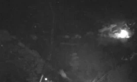 Phát hiện quả cầu lửa sáng chói trên bầu trời đêm ở Perth, Úc.