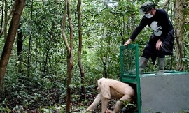 Cận cảnh đười ươi bạch tạng duy nhất trên thế giới